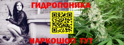 соль ск Обнинск