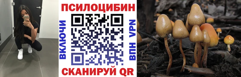 МЕГА вход  Шахты  Галлюциногенные грибы Magic Shrooms 