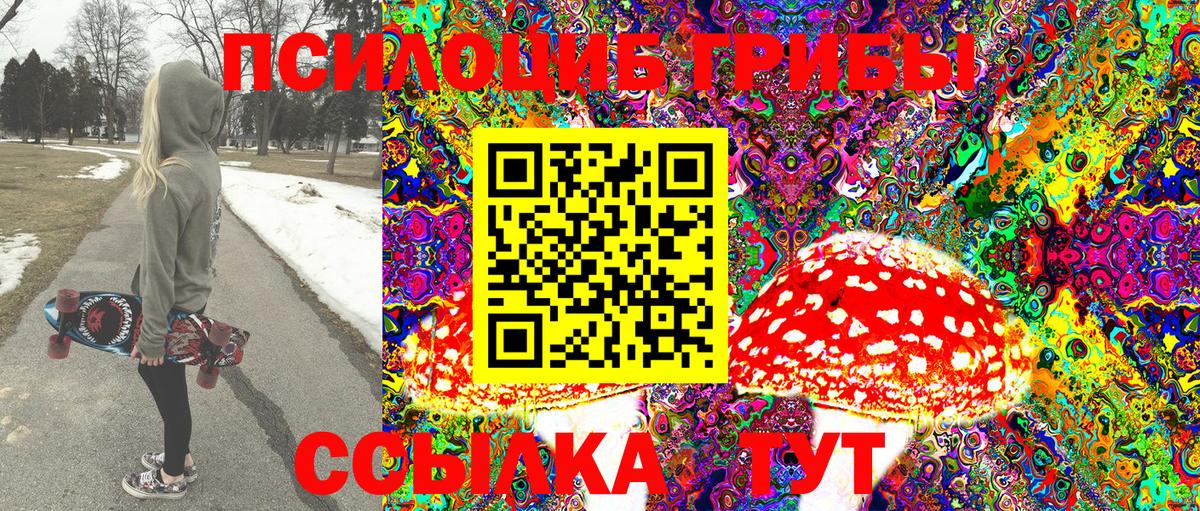 Галлюциногенные грибы Psilocybine cubensis  Галлюциногенные грибы Psilocybine cubensis  Шахты  Вход с VPN 
